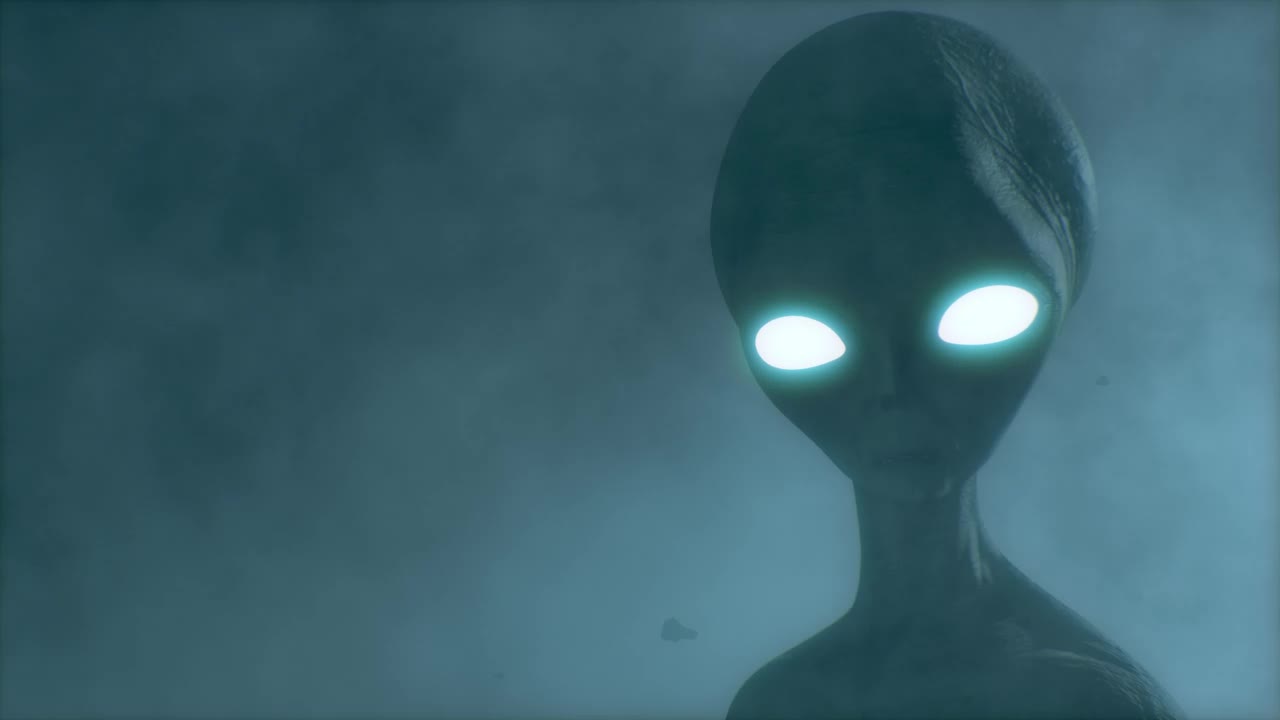 Visitor